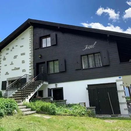 Jewel Duplex Eg Apartment Fieschertal